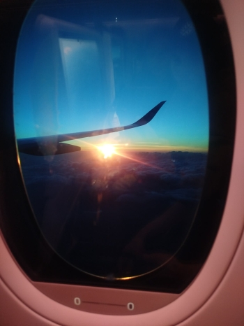 WhatsApp Image 2026-04-14 at 15.03.20.jpeg