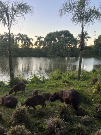 WhatsApp Image 2026-04-14 at 15.03.26.jpeg